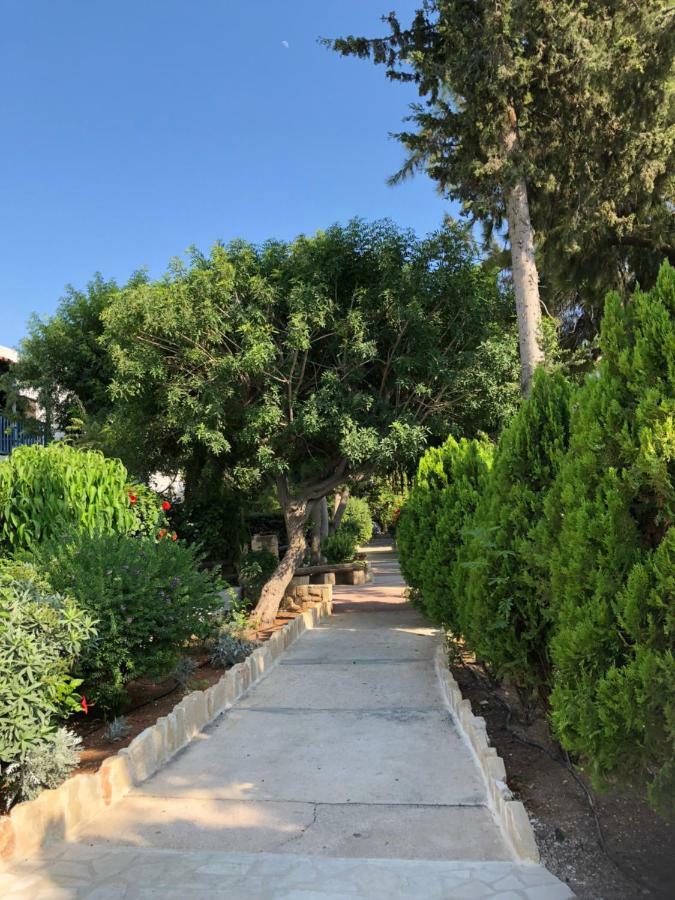 Paphos Gardens Studio Suite ภายนอก รูปภาพ